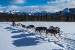 Dog sledding in Denali National Park - Photo Credit: skeeze via Pixabay